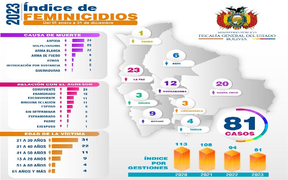 Femicidios Y Infanticidios En Bolivia En Santa Cruz La