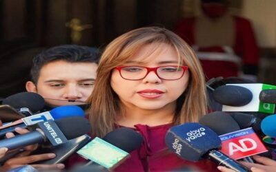 Alcón pide auditoría para transparentar contratos de publicidad con el Estado