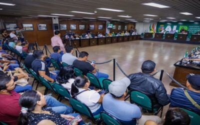 La Asamblea Legislativa de Santa Cruz define este lunes la situación de la Gobernación