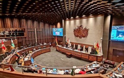 Senado sanciona ‘ley corta’ para las judiciales, la remitió al Ejecutivo para su promulgación