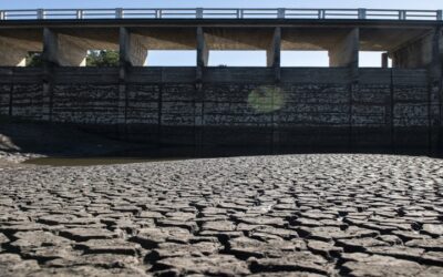 En una de las peores sequías, en Uruguay, Montevideo se quedará sin agua potable en una semana (vea reportaje)
