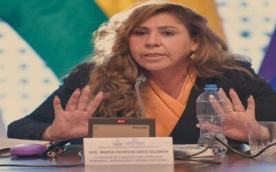 La senadora Patricia Arce observa ‘intereses políticos’ detrás del fallo del TCP sobre las judiciales