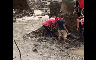 Tragedia: Un deslizamiento en Mapiri provoca la muerte de al menos seis cooperativistas mineros (video)