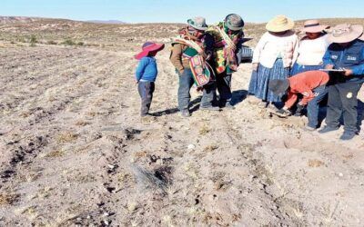 Bolivia sufre de una intensa sequía en medio de desesperación de las zonas altiplánicas