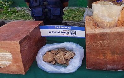En Chile incautan droga de procedencia de Bolivia en madera aserrada que pretendía salir a los Emiratos Árabes