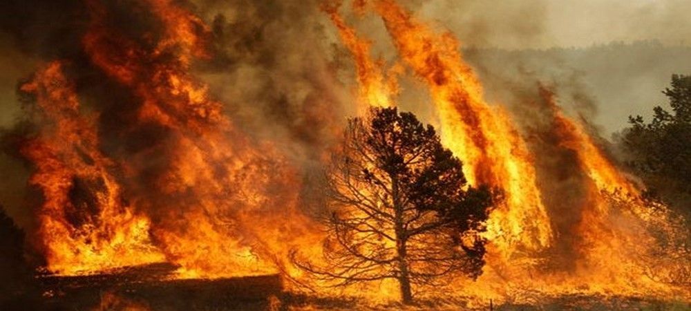 REPORTAJE: Los incendios en Bolivia están siendo provocados, cuestionan la laxitud de la norma y el rol de la ABT