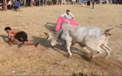 Muere segunda víctima del jocheo de toros, en Warnes, está vez el animal asestó uno de sus cuernos (vea el momento)