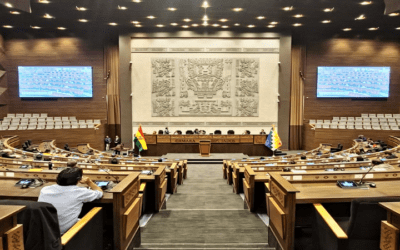 La Cámara Baja aprobó el PGE Reformulado, adiciona Bs 5.000 MM para municipios, gobernaciones y universidades