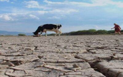 La sequía en Bolivia afecta a 487.014 familias; Defensa: ‘no hay motivo de alarma’