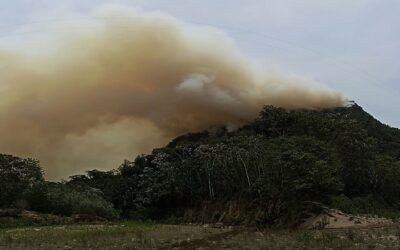 Otra vez la emergencia por los incendios forestales, San Buenaventura y Rurrenabaque claman por ayuda (vea el reporte)