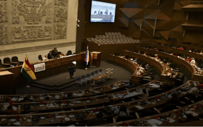 Nota remitida por Andrónico postergó tratamiento de los proyectos de ley 073 y 075 en la Cámara de Diputados