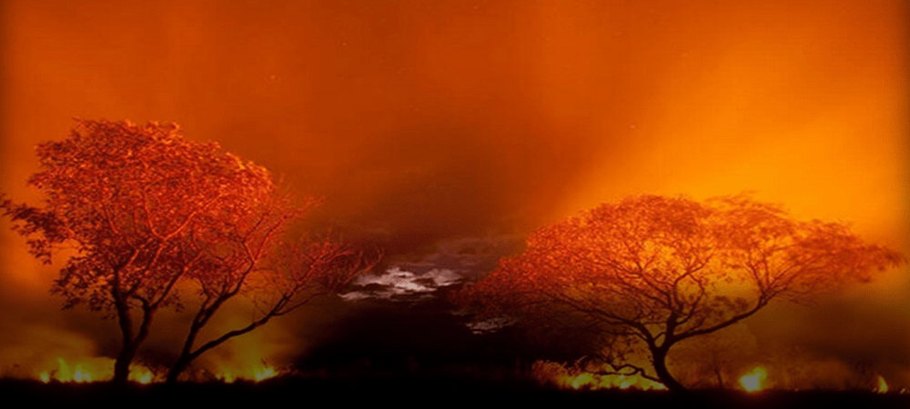 El Pantanal arde, el mayor reservorio húmedo del ecosistema del mundo es consumido por un incendio de magnitud