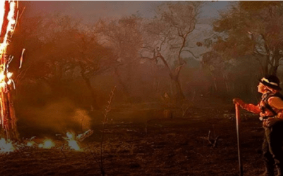 El fuego en la Chiquitanía, en Roboré, cobra ribetes mayores, dos personas murieron calcinadas
