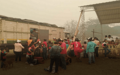 Santa Cruz en la peor afectación histórica, calculan más de 5 millones de hectáreas que arden, inició la evacuación de Monte Verde