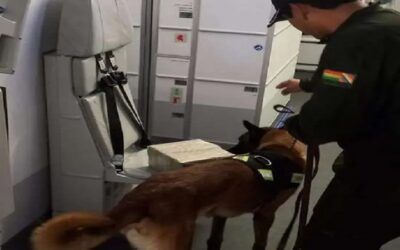 Cocaína a España: Dos mujeres de limpieza quedan aprehendidas de los 37 arrestados, el resto fueron liberados, se pedirá su reclusión