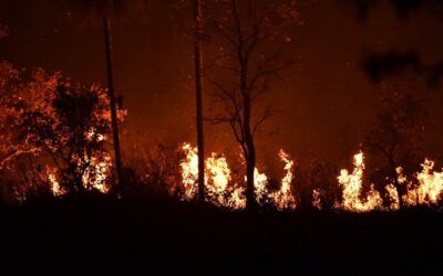 Discrepan sobre las hectáreas afectadas por los incendios: Para el Gobierno son 6,9 millones, mientras para la Fundación Tierra, más de 10 millones