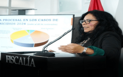 En lo que va de 2024, Bolivia anotó 78 feminicidios y 31 infanticidios