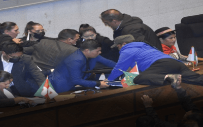 Vergüenza en su máxima expresión: primera sesión en Diputados marcada por asalto a la testera en medio de golpes e insultos