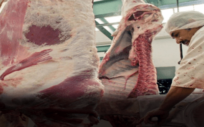Carniceros esperan garantizar el suministro tras la reunión con el Gobierno este martes, de lo contrario, habrá desabastecimiento