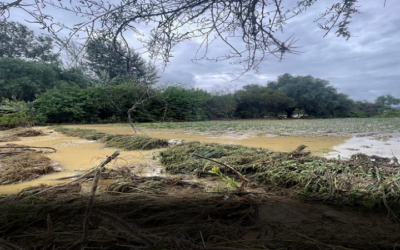 El río Camacho se desborda en Tarija y pone en emergencia al municipio de Uriondo, claman por ayuda