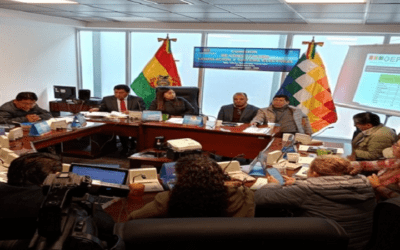 La no aprobación de la ley de escaños pone en riesgo las elecciones generales: TSE