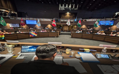 La Cámara Alta sancionó la Ley de Distribución de Escaños, pasa al Ejecutivo para la promulgación de Arce