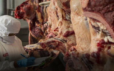 El Gobierno suspende la exportación de carne de res, la CAO repudia y se declara en emergencia