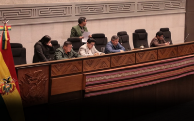 La Asamblea posterga tratamiento del crédito del JICA por $us 100MM y Diputados aprueba la Ley del TREP