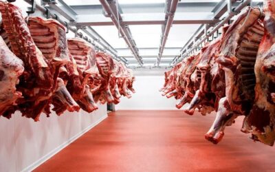 El Gobierno ve que es posible levantar el veto a la exportación de carne de res, pero pide que comercializadores bajen el precio