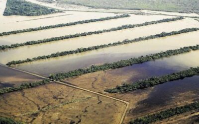 Ya se han perdido 500.000 has de cultivos, Confeagro ve la peor crisis por La Niña, nunca llovió tanto a fines de marzo