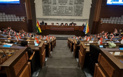 Por segunda vez el crédito de $us 100 MM del Japón es rechazado en la Asamblea