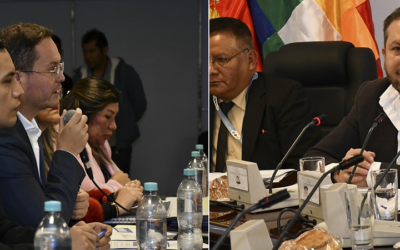 Dorgathen y Gallardo y el manto de protección a Luis Arce Mosqueira, hijo de Luis Arce en la comisión que investiga a Botrading