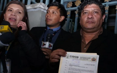 En respuesta a acción de inconstitucionalidad, Siles dice que indígenas solo pueden participar de subnacionales