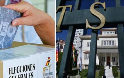 Las elecciones generales en riesgo: El OEP asediado por demandas judiciales, hay al menos diez recursos planteados