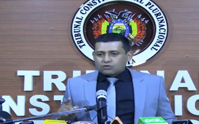 El Constitucional admite tres recursos que no alteran el calendario electoral del 17 de agosto