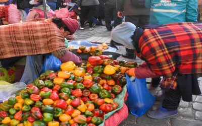 Escalada de precios, la inflación acumulada trepa a 9,81% y la del mes de a mayo a 3,65%