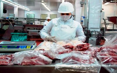 Luego de cuatro meses, el Ejecutivo vuelve a autorizar la exportación de carne de res