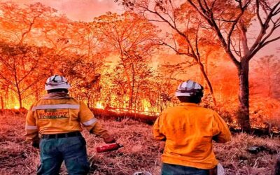 560 focos de calor en Bolivia en el inicio de la época de quema, se teme incendios forestales