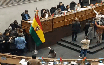 Escándalo en Diputados luego que agendaron los contratos del litio y se generan enfrentamientos