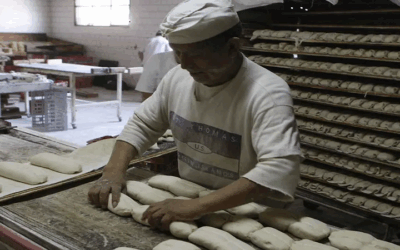 Irresponsabilidad del Gobierno en no garantizar harina subvencionada empuja a panaderos a subir el pan a Bs 1