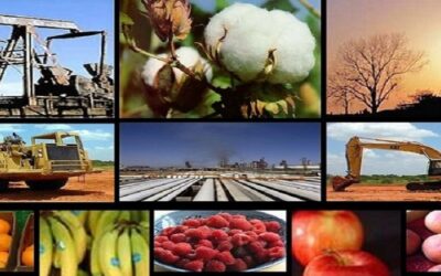 Crecimiento de la economía en 2024 fue de apenas 0,7%, por debajo de la proyección del Gobierno de 3,71%: INE