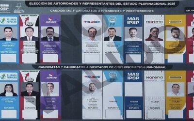 EL TSE cumplió el domingo con la publicación de candidatos habilitados tras renuncias