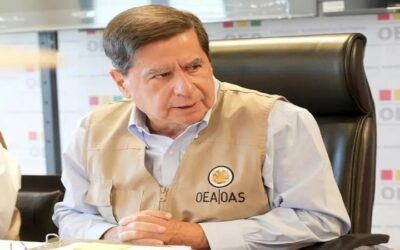 Jefe de la Misión de Observación de la OEA califica de crucial para el futuro de Bolivia acudir a las urnas este domingo
