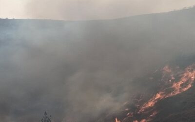 Tarija respira aire contaminado por el incendio en la Cordillera Sama, inician campaña solidaria, se declaró la emergencia