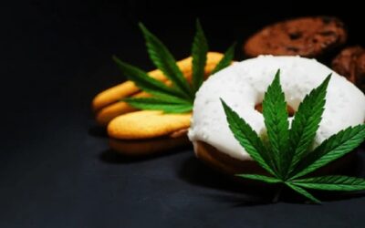 Vendían ‘narco-donas’ con marihuana en el monoblock de la UMSA, el hombre fue aprehendido