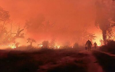 Bolivia: emergencia nacional por los incendios forestales