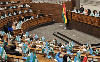 Corrupción en YPFB: Diputados confirma irregularidades en internación de combustibles a Bolivia a través de Botrading