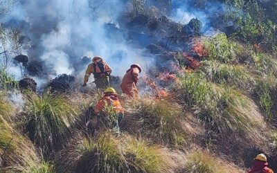 Una mujer fallecida y al menos ocho viviendas en cenizas en incendio en Toro Toro