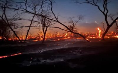 Dos parques nacionales son consumidos por el fuego en Santa Cruz, la flora y la fauna en grave riesgo