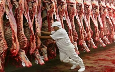 Bolivia tiene autorización para exportación de carne de res a Egipto